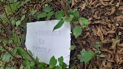 PAROLA PER PAROLA (19)